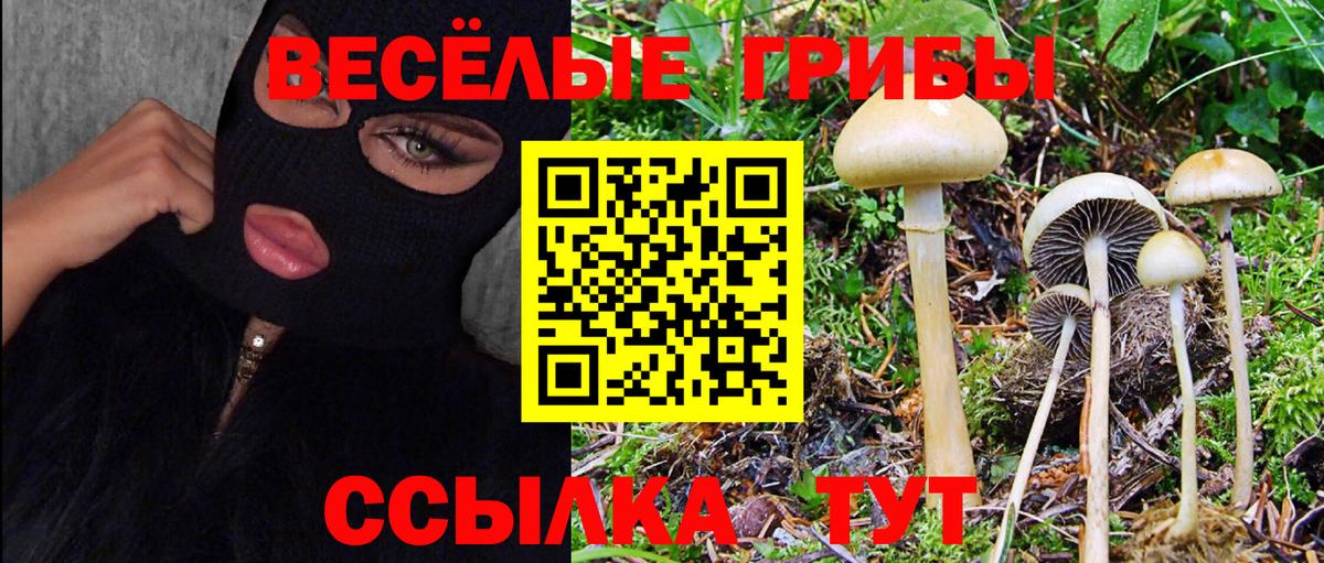 Галлюциногенные грибы Cubensis  Вход с VPN  Куйбышев  Галлюциногенные грибы ЛСД 