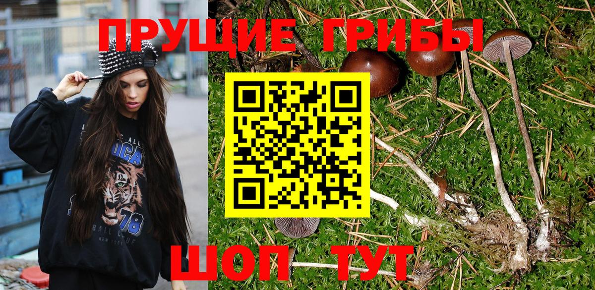 Псилоцибиновые грибы Magic Shrooms Куйбышев