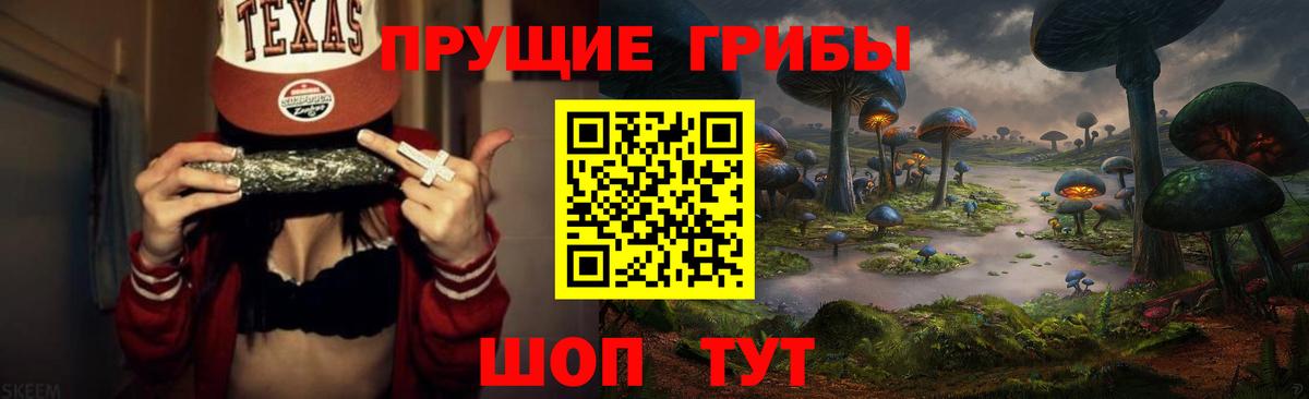 Галлюциногенные грибы Куйбышев
